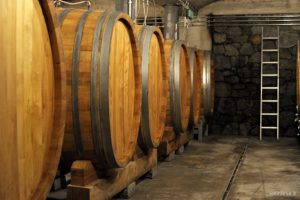 Weinwirtschaft in Südtirol: Eine Million Euro an europäischer Unterstützung